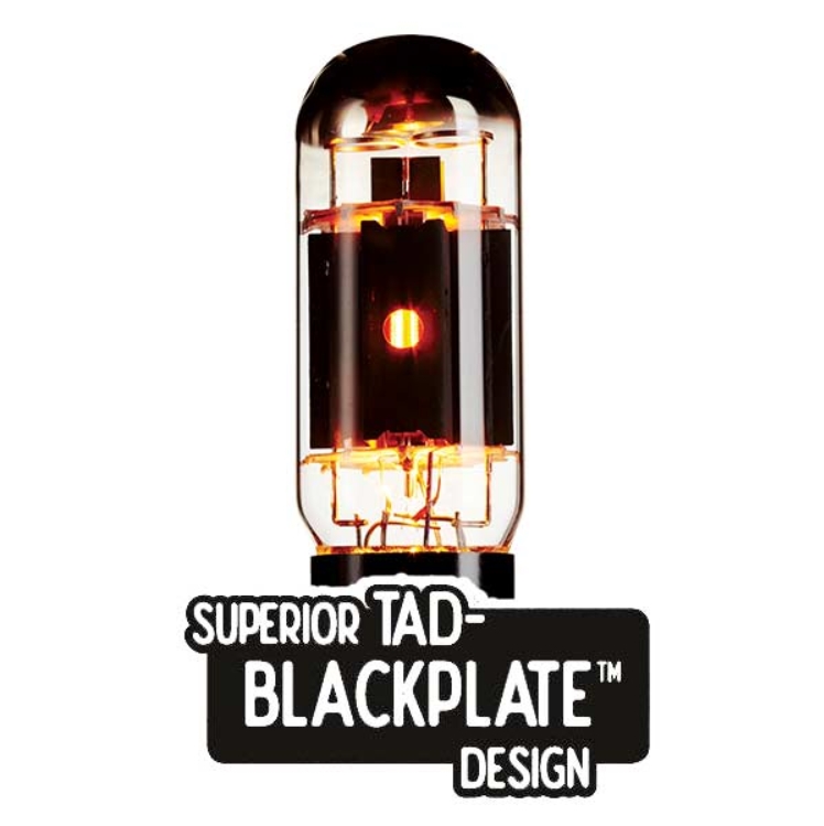 две лампы Blackplate 6L6GC-STR